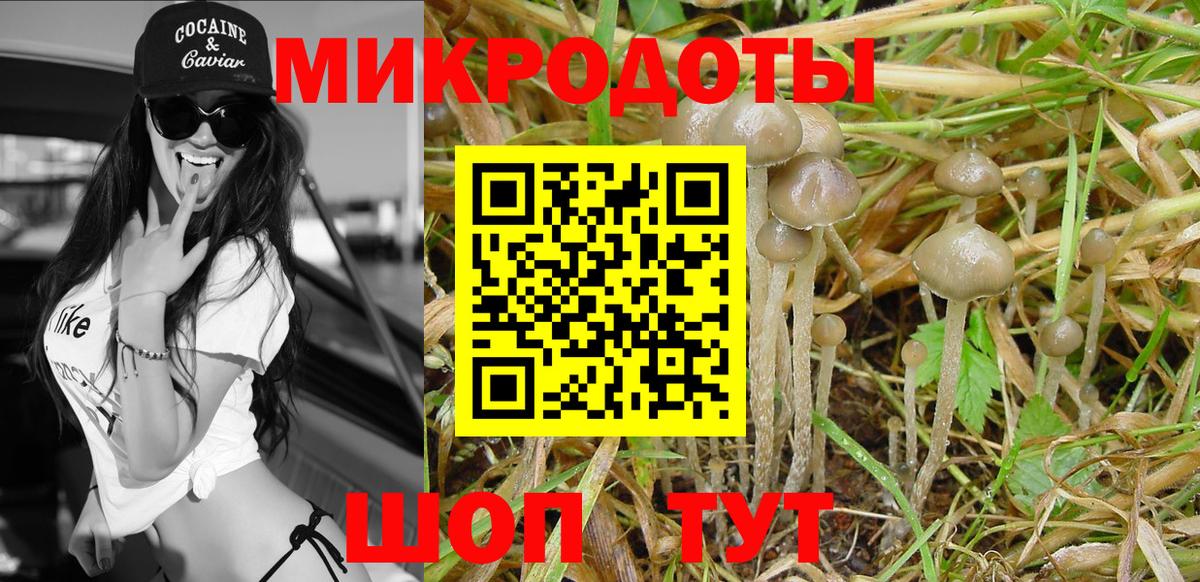 Галлюциногенные грибы ЛСД Хасавюрт